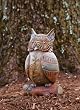 Garden Gate Wistful Owl Statuary
