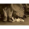 Dawson Cowboy Puppy Canvas Giclee - 18x24"