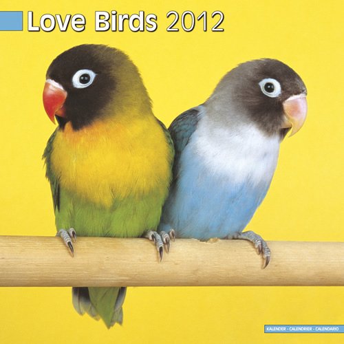 Love Birds 2012 Wall Calendar #11080-12