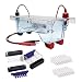 Edvotek M12 Dual Electrophoresis Apparatus, 2 Lab Groups Sample, 7cm Length x 7cm Width Gel Trays