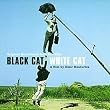 Chat noir, chat blanc