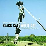Chat noir, chat blanc
