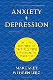Anxiety   Depression: Effective Treatment of the Big Two Co-Occurring Disorders (Norton Professional Books)