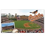 MLB Baltimore Orioles Large Floor Mat