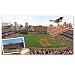 MLB Baltimore Orioles Large Floor Mat