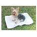 Ultra Soft Sherpa Mat for Pets - Extra Small - 12" x 17"
