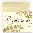 Merry Christmas Holly Christmas Cards -
