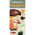 Petit atlas des champignons : 70 Esp�ces comestibles et toxiques