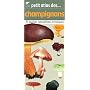 Petit atlas des champignons : 70 Esp�ces comestibl&hellip de Patrick Reumaux