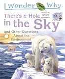 I Wonder Why: There's a Hole in the Sky: And Other Questions about the Environment (I Wonder Why)