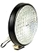 Delta 100 Series Thinline Black Halogen Flood Light, Single