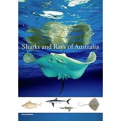 Sharks and Rays of Australia