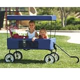 Fold it & Go Wagon (Blue)