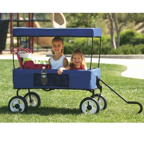 Fold it & Go Wagon (Blue)