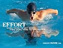 Effort & Hard Work Motivational Banner XL Size 48" x 36" for Schools, Sports and Recreation Centers.