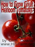 How to Grow Great Heirloom Tomatoes