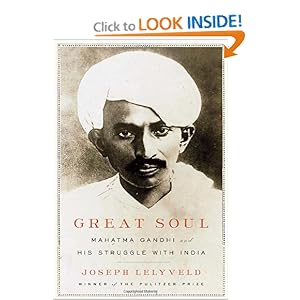 Mahatma Gandhi and His Struggle - Joseph Lelyveld