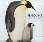 2013 Calendar: Penguins: 12-month cal...