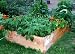 Square Raised Bed