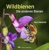 Wildbienen: Die anderen Bienen - 