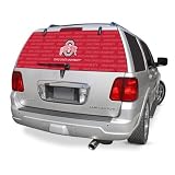 Ohio State Buckeyes Rearz (24x 66) Glass Window Tattoo - NCAA College Athletics