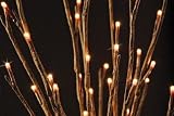 The Light Garden WLWB96 Willow Branch with 96 Lights
