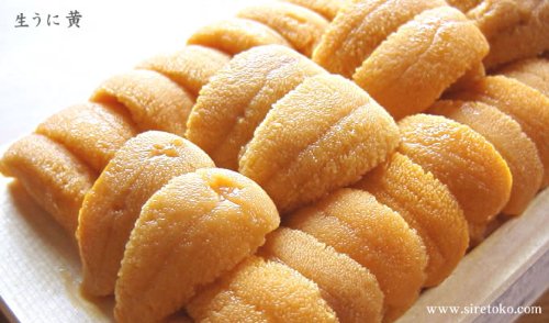 生うに 極・黄（数週間お待ちいただくことがあります）