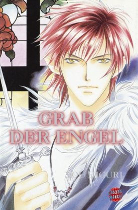 Carlsen Verlag GmbH Grab der Engel