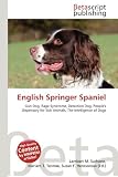 English Springer Spaniel
