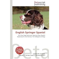 English Springer Spaniel