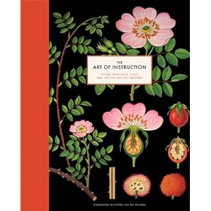 The Art of Instruction: Vintage Educational Charts from the 19th and 20th Centuries