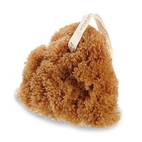 Urban Spa Full Body Sea Sponge, 1.1 Ounce