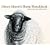 Henry Moore's Sheep Sketchbook