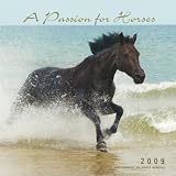 A Passion For Horses 2009 Calendar