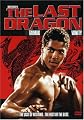 The Last Dragon
