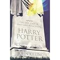 The Life, Death, and Resurrection of Harry Potter