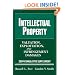 Intellectual Property: Valuation, Exploitation and Infringement Damages 2009 Cumulative Supplement (Valuation of Intellectual Property and Intangible Assets Cumulative Supplement)