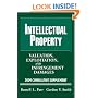 Intellectual Property: Valuation, Exploitation and Infringement Damages 2009 Cumulative Supplement (Valuation of Intellectual Property and Intangible Assets Cumulative Supplement)