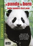 A Panda Is Born/Baby Panda`s First Year