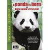 A Panda Is Born/Baby Panda's First Year
