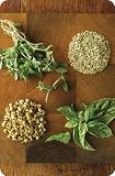 The Essential Oils Deck