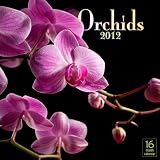 2012 Orchids Wall calendar