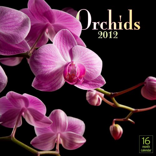 2012 Orchids Wall calendar
