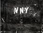 Naked New York