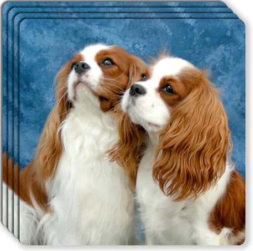 Cavalier King Charles Spaniel Rubber Coaster Set