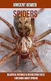 Spiders: Beautiful Pictures & Interesting Facts Kids Book About Spiders