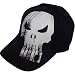 Search : Punisher Distressed Logo Pinstripe Flex-Fit Baseball Cap