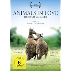 Animals in Love