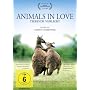 Animals in Love