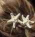NIPOO Fashion Women Lady Girls Pretty Natural Starfish Star Moon Hair Clip New (Star)